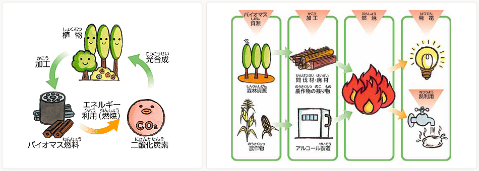 バイオマスエネルギーに関するイラスト