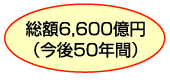 総額6,600億円(今後50年間)